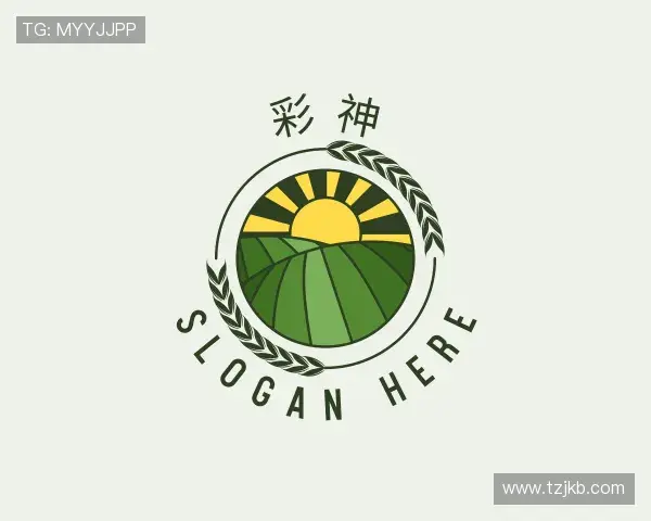 介绍彩神vll注册登录